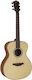 Bromo Baa 2 Acoustic Guitar
