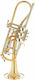 Schagerl Ganschhorn Heavy Ul