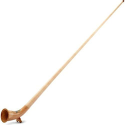 Alfons Neumann Alphorn Meisterklasse Painted