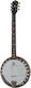 Deering Boston 6 String A E Banjo