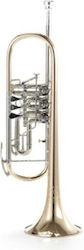 B&s 3005 Wtr-l Trumpet