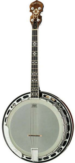 Gold Tone It-250-f Irish Tenor Banjo W C