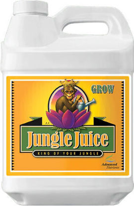 Advanced Nutrients Течност Тор Калий, Желязо за Цъфтящи растения 500ml