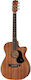 Maton Ebw808c Blackwood