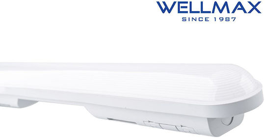 LED Linear Lighting Batten 1200mm 36W 3960lm 6500K IP65 Wellmax 02.031.0121 2 Pieces