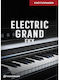 Toontrack Ekx Electric Grand