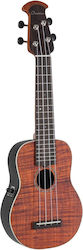 Ovation Σοπράνο Ηλεκτρο-ακουστικό Ukulele Celebrity Regular Plus Natural Koa Ucs10p-koae-g