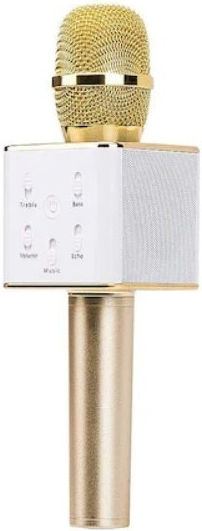 Microfon Karaoke Wireless DLSF3SMBM Auriu