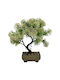 Sidirela Τεχνητό Φυτό Γλαστράκι Bonsai Judus Λευκό 25cm E-4317 42143172