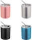 TnS Stainless Steel Thermos Bottle 380ml 4 Colours with Straw and Mouthpiece