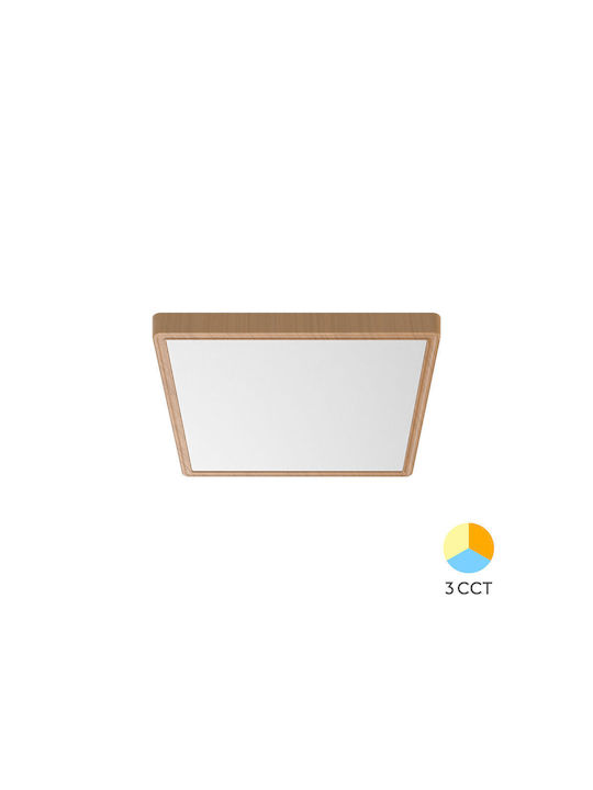 Braytron Jade Ceiling Mount Light 23cm