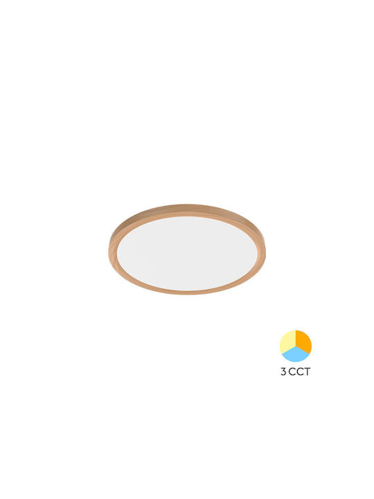 Braytron Jade Ceiling Mount Light 23cm