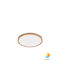 Braytron Jade Ceiling Mount Light 50cm