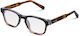 Thayer Nightfall Tortoise