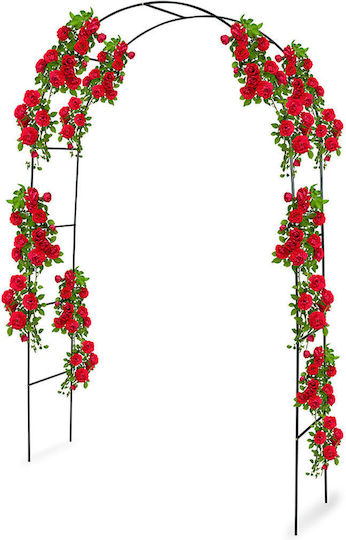 Arcadă De Grădină Din Metal 140x240cm 30499