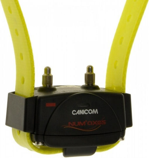 Num'axes Canicom Receiver Dog Training Shock Collar Yellow
