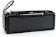 Bluetooth Speaker 10W with Radio Black