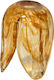 Lighting Fixture Replacement Glass G9 Honey 6x6x8.5cm Sinialo 2900527