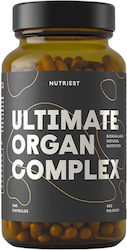 Nutriest Ultimate Organ Compex 240 капси Nutriest Ultimate Organ Compex 240 капси