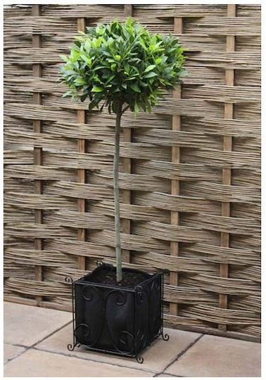 Vigoroot Planting Bag H 34cm W 35cm D 30cm