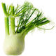 Fennel Seed 7gr 15078 Variety Upright Stem Large Spherical White Color Very Aromatic Flavor Crispy Texture