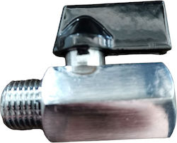 Βan 1/4 Männlich/weiblich A-θ 124/6