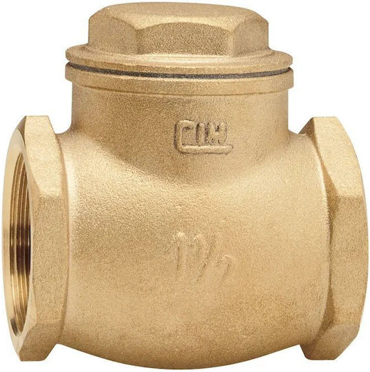 Non-return Valve 2 1/2" Metal Seat Cim 80