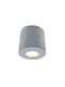 Спот Външно Таванно Осветително Тяло Aлуминий Malaga H9,5 Φ9 Bot Lighting Malagam Сиво