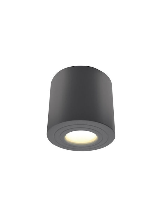 Punkt Außen-Deckenleuchte Aluminium Malaga H9,5 Φ9 Bot Lighting Malagag Anthrazit
