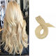 Haarverlängerungen Silver Line Menschliche Haare Blond No 613