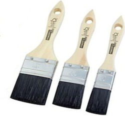 Parkside Set Paint Brushes Black Bristles
