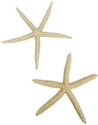 Stars Decorative Set/5 Finger 18-20cm White