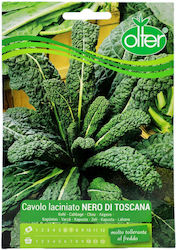 Λαχανίδα Kale Nero Di Toscana Olter Σπόρος 1 Τμχ