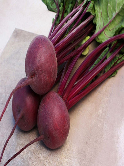 Hybrid Beetroot Seed Kestrel F1 50,000 Seeds