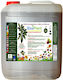 Ecoplant 20 Liter – Bελtiowitiko