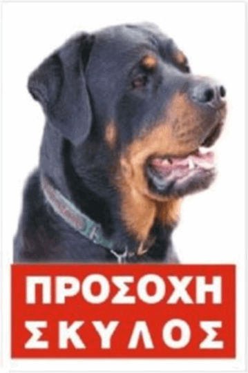 Πινακιδα Προσοχη Σκυλος Rotwailler 20 Χ 30cm Εγχρωμη Μεταλλικη Αλουμινιου 9734