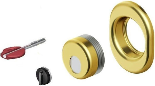 Μαγνητικό Defender Θωρακισμένης Πόρτας Disec Mrm10800a Κλειδαριές Mul-t-lock Omega Plus-χρυσό