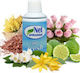 Kommerzielle Lufterfrischer Spray Bouquet Aromen Mbuéto Louloudión