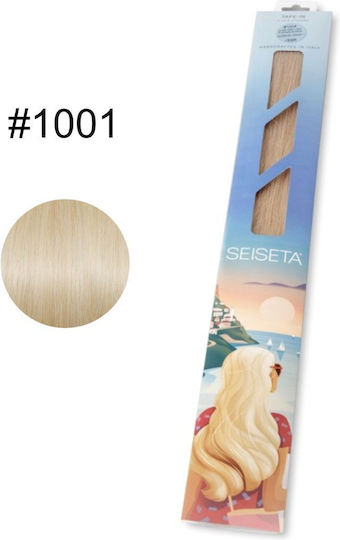 Seiseta Haarverlängerungen Tape-in 50/55cm #1001 6 Stück 15gr