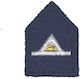 Fire Department Fire Warden School Epaulette Badge
