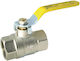 Female Female Valve 2 Handles