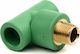 Male Ppr Welding Pipe Tee Φ32x1" Plastherm