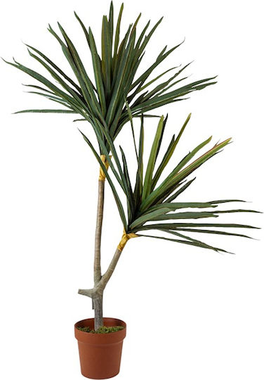 Yucca Topfpflanze 110cm