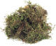 Moss Dried 100 Gr