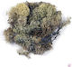 Icelandic Moss Natürlich 100 Gramm