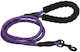 Dog Leash/Lead Strap in Purple color
