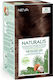 Neva Βαφή Μαλλιών Χωρίς Αμμωνία 6.0 Intense Dark Blonde 150ml