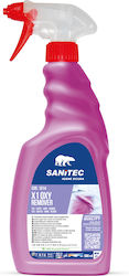 Sanitec Καθαριστικό Λεκέδων σε Spray
