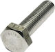Screw Inox with Diameter M6 and Length 30mm