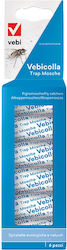 Gemma Glue 8805991100004 6pcs Gemma Glue 8805991100004 6pcs